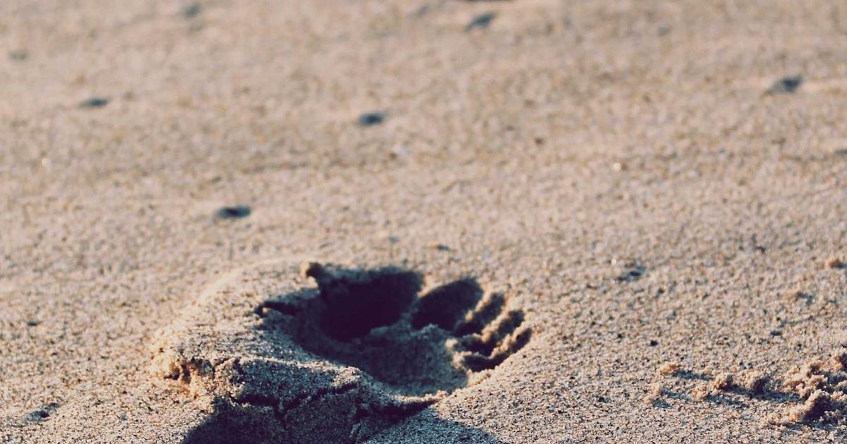 Sopot — Ceny apartamentów w Sopocie 2026 — ile kosztuje tydzień nad morzem