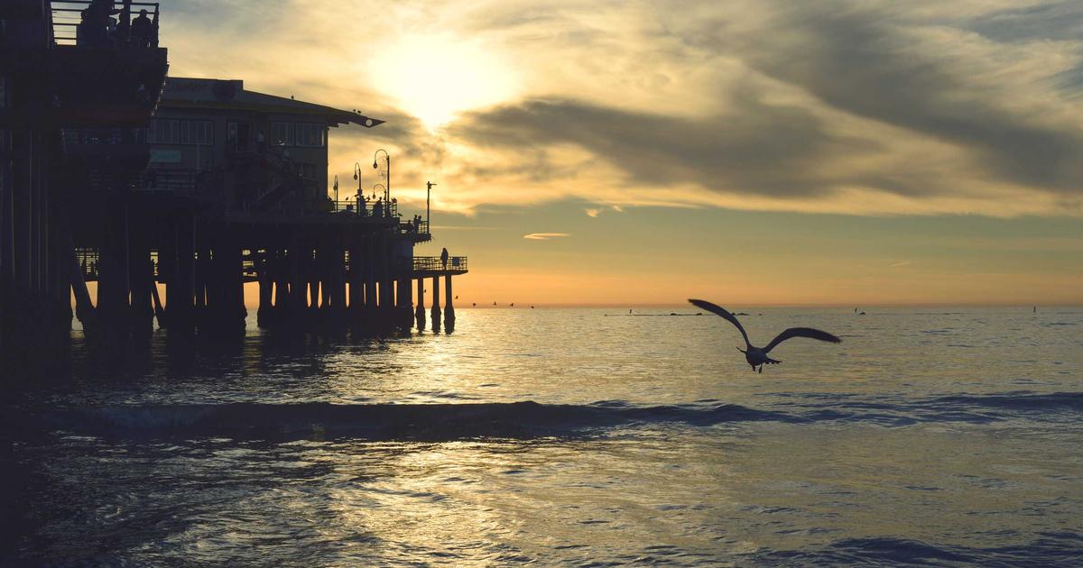 Sopot — Kuchnia kaszubska i morska — smaki wybrzeża