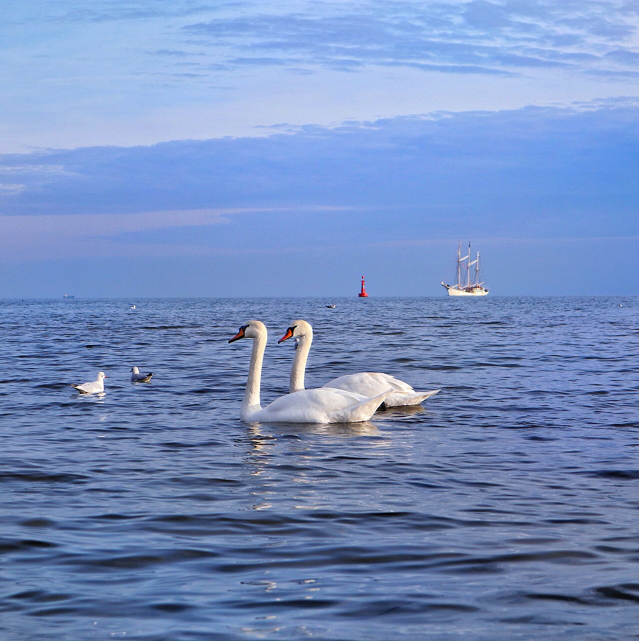 Gdansk Sopot Gdynia coast — Sopot, Polska