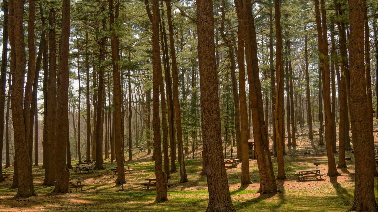 Sopot — Jak negocjować cenę apartamentu w Sopocie — poradnik