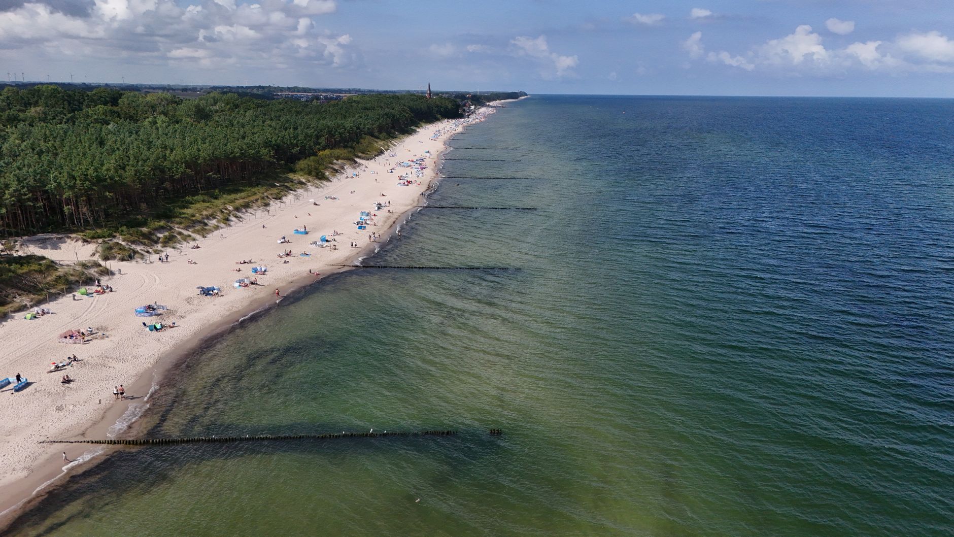 Stunning aerial view of a beautiful beach with lush green forest and calm blue ocean. — Trójmiasto