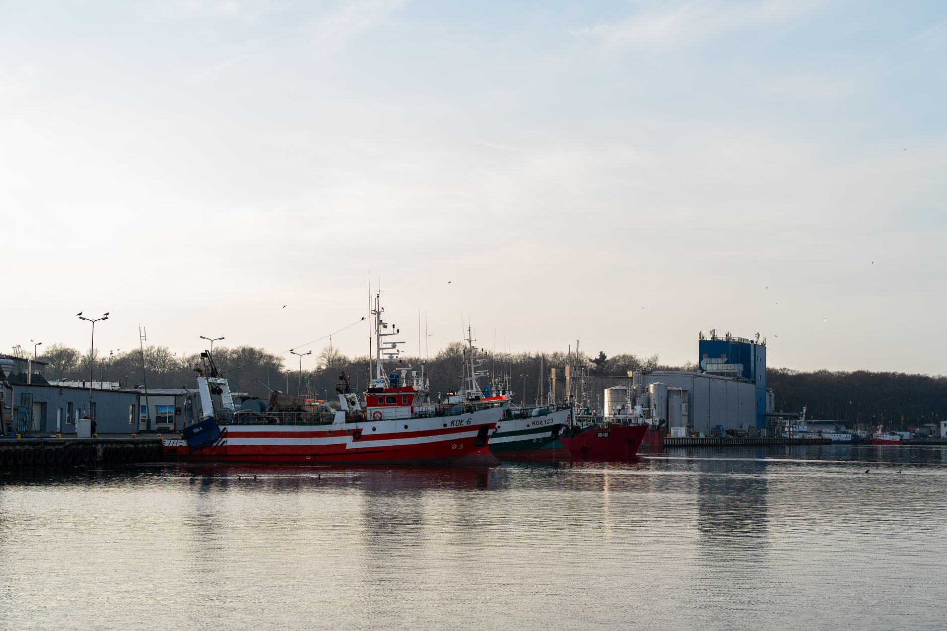 A serene view of fishing boats docked in the Kołobrzeg harbor, Poland during daytime. — Trójmiasto