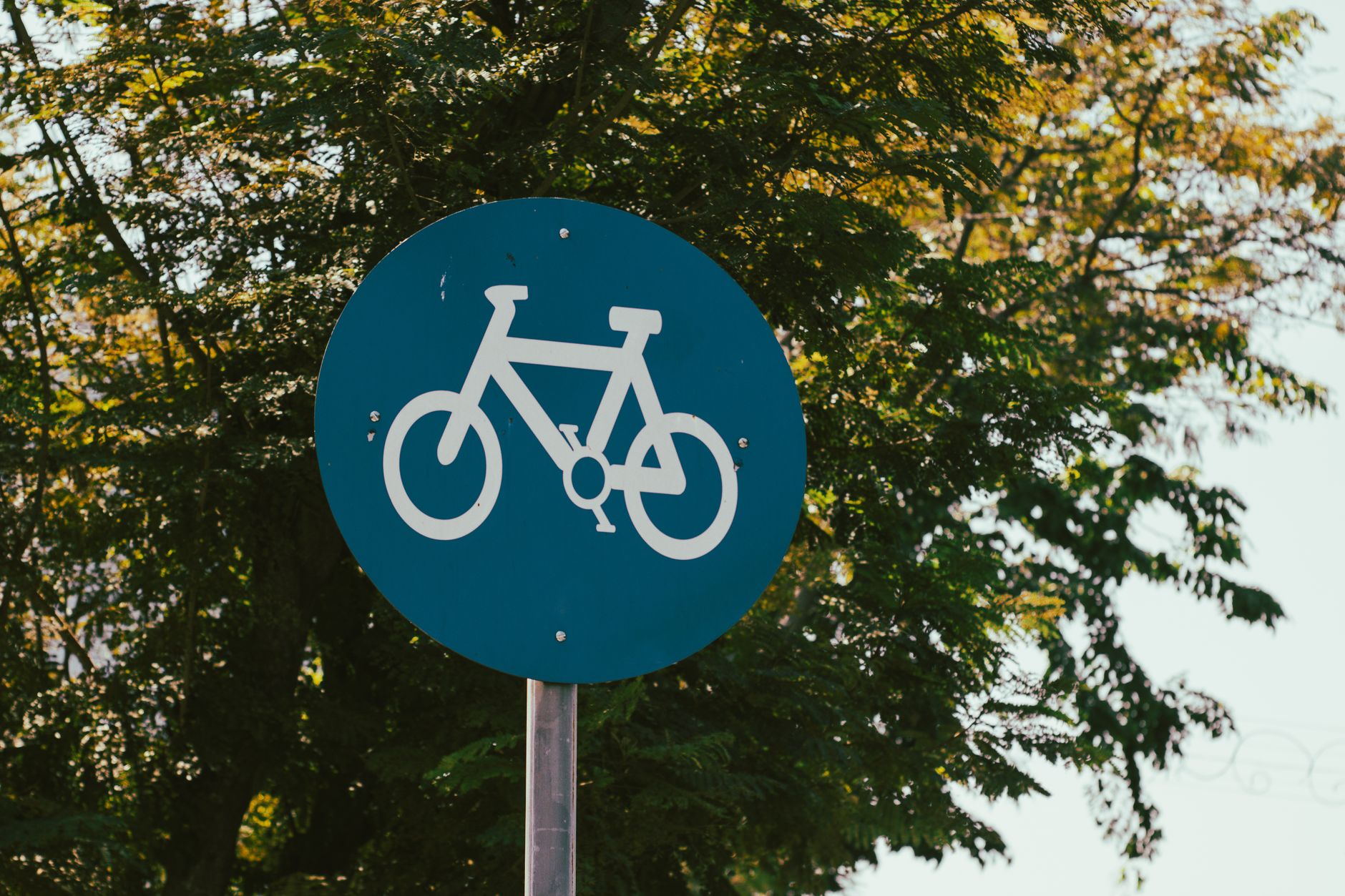 A clear bicycle lane sign against a backdrop of lush green trees, signifying a safe cycling path. — Trójmiasto