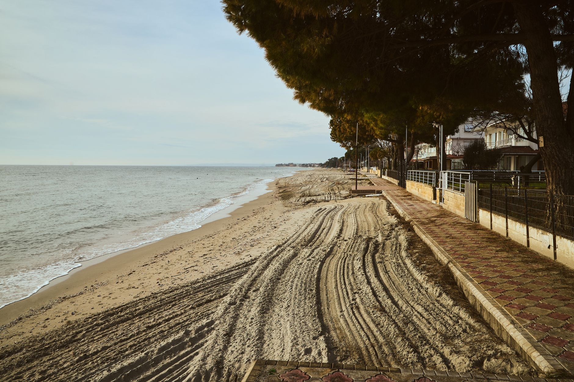 A quiet beachside promenade lined with trees and overlooked by a calm, sandy shoreline at sunset. — Trójmiasto