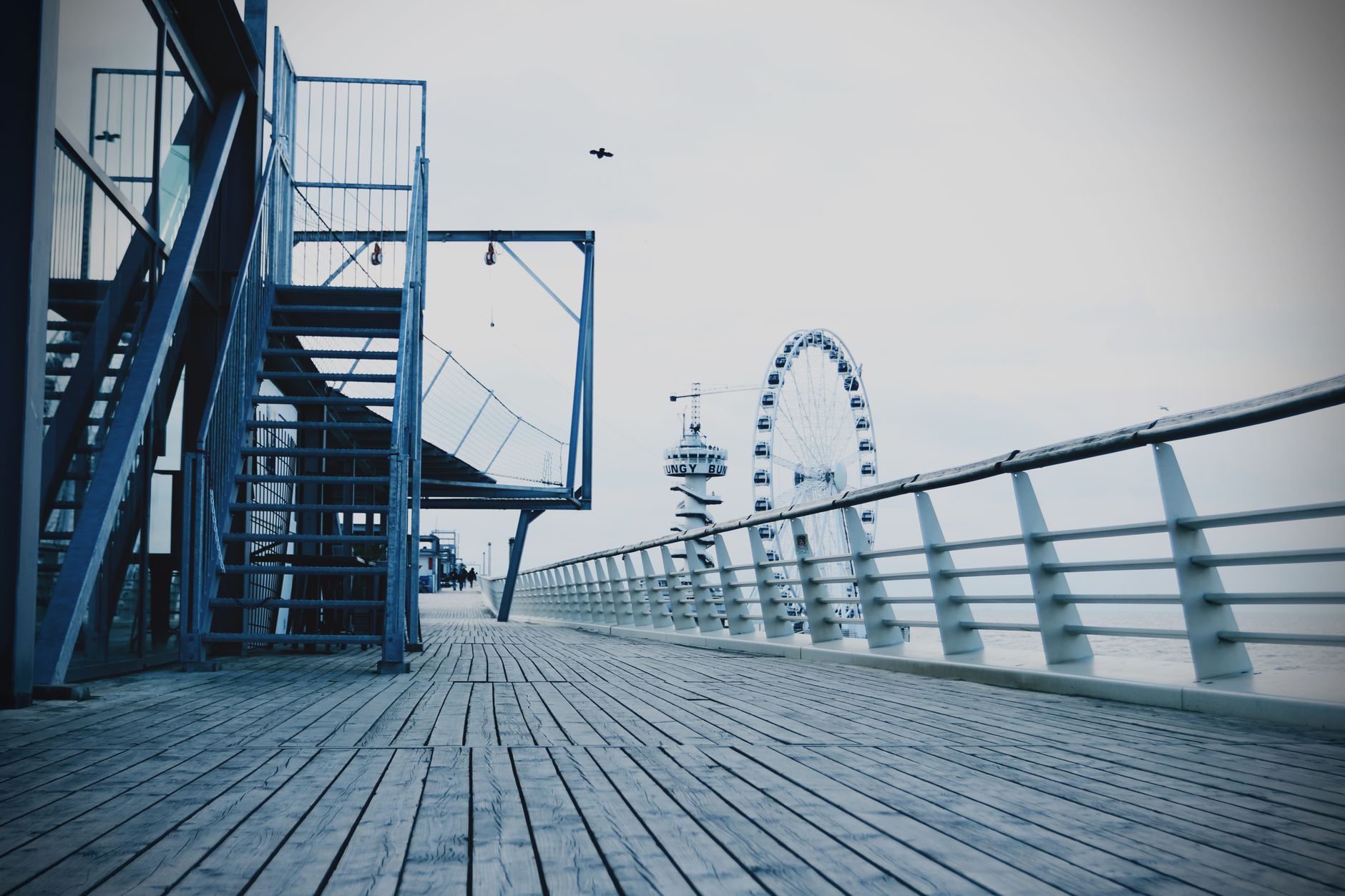 View of a modern pier in Den Haag with a Ferris wheel and bird in the sky. — Trójmiasto