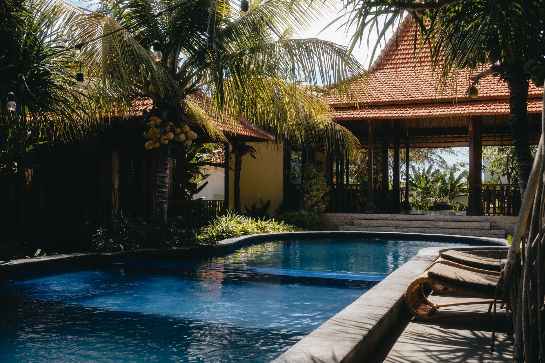 Relax by a luxurious tropical pool surrounded by lush palm trees under a sunny sky, perfect for summer getaways. — Trójmiasto