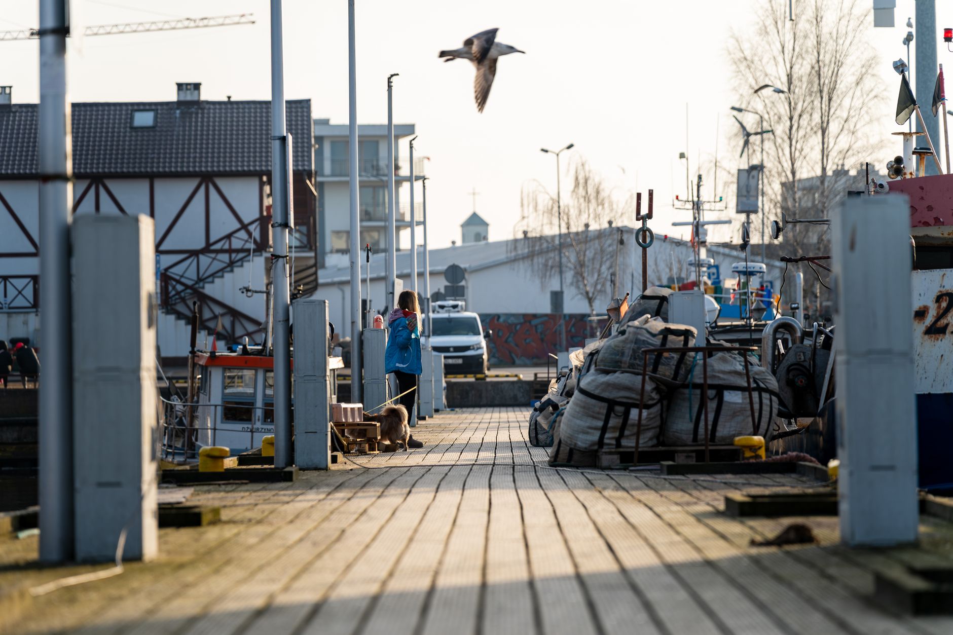 A peaceful harbor view in Kołobrzeg with boats, a walking woman, and a seagull in flight. — Trójmiasto