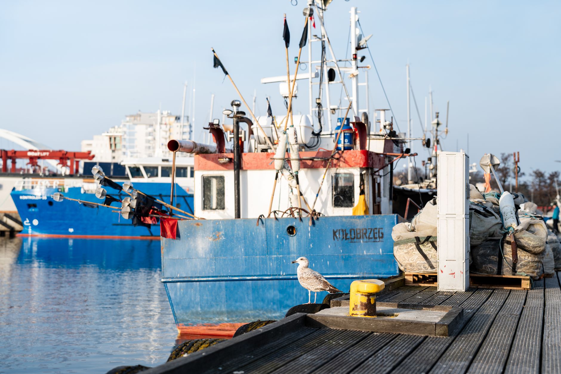A scenic view of fishing boats docked at the harbor in Kołobrzeg, Poland with a seagull perched nearby. — Trójmiasto