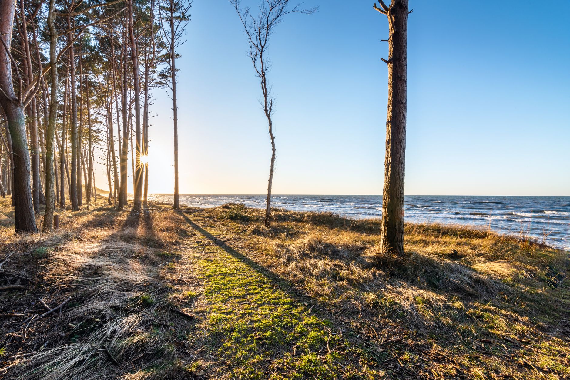 Picturesque scenery of grassy shore with trees near waving water under blue cloudless sky in sunny day — Trójmiasto