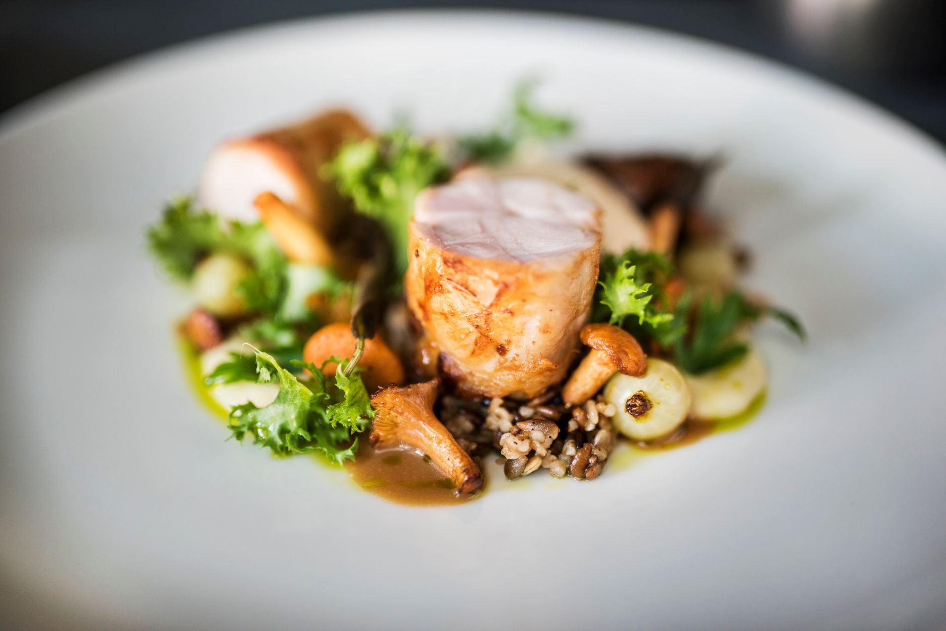 Close-up of a gourmet chicken dish with wild rice, mushrooms, and greens on a white plate. — Trójmiasto