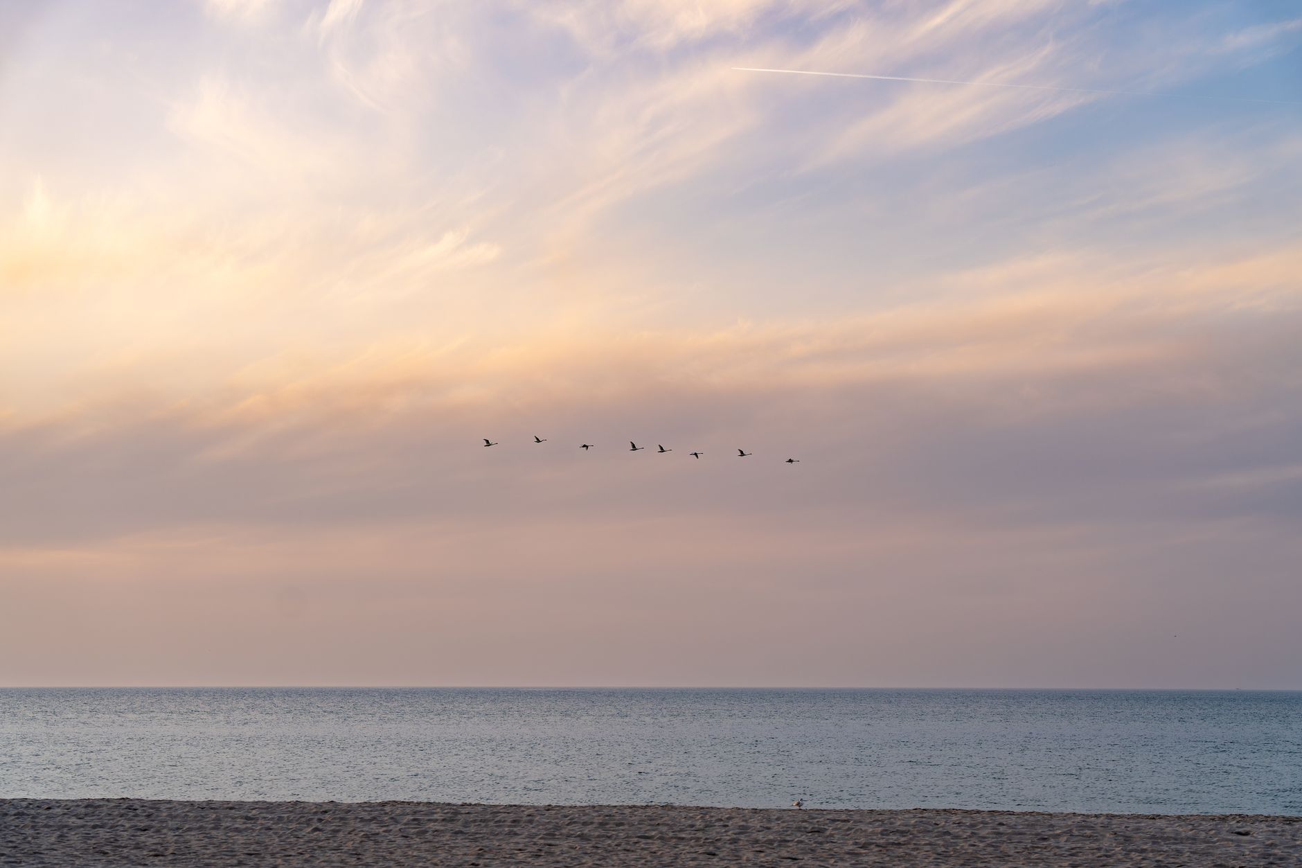 A peaceful sunset view with birds flying over the sea at Kołobrzeg Beach, Poland. — Trójmiasto