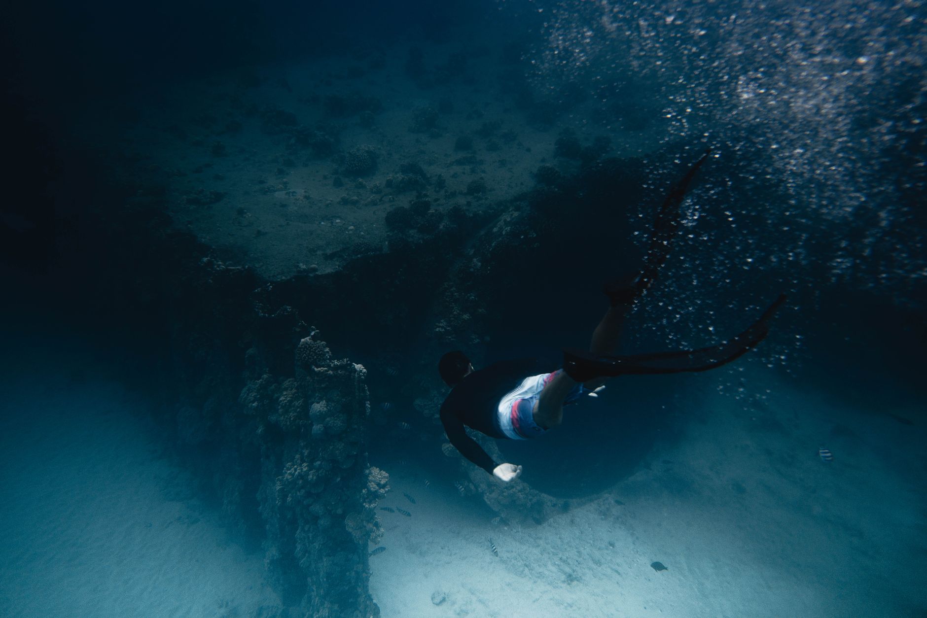 A diver swims gracefully through a vibrant coral reef underwater, captured in motion. — Trójmiasto
