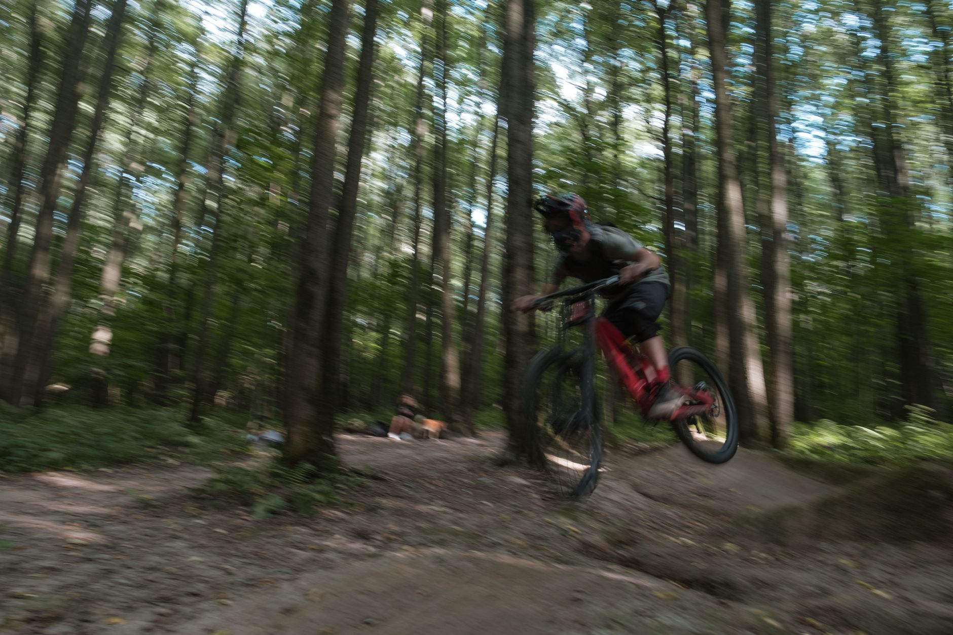 Cyclist performs thrilling jump on BMX bike in wooded trail area. — Trójmiasto