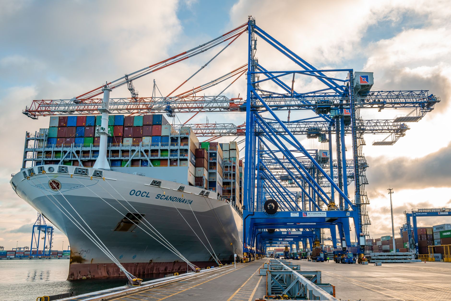Container ship OOCL Scandinavia docked in Gdańsk harbor with cranes and cargo containers. — Trójmiasto
