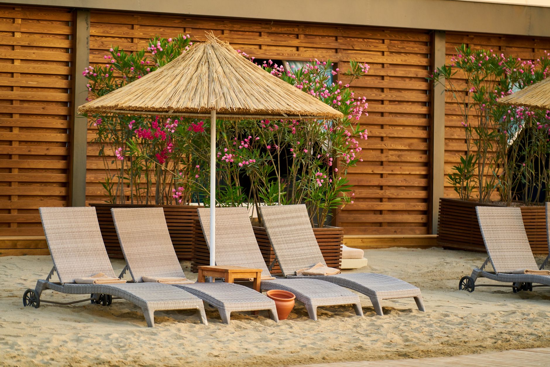 Five lounge chairs with a straw umbrella on sandy beach. — Trójmiasto