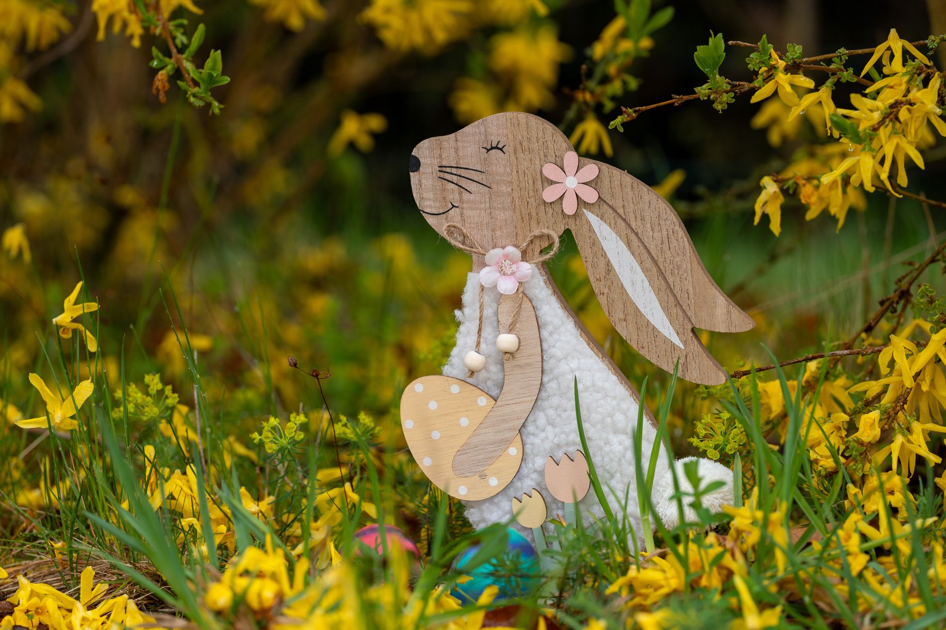 Charming wooden Easter bunny ornament surrounded by vibrant forsythia blooms in a spring garden setting. — Trójmiasto