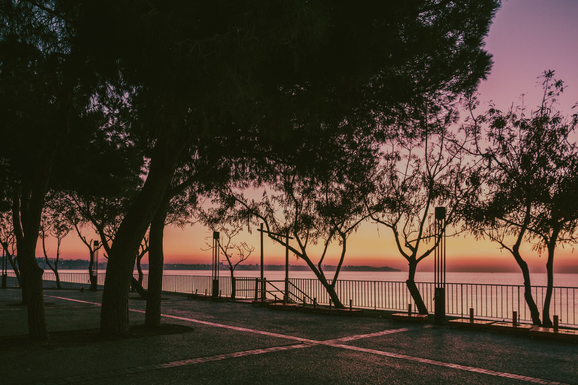 Peaceful view of trees lining a waterfront promenade during a vivid sunset over the shore. — Trójmiasto