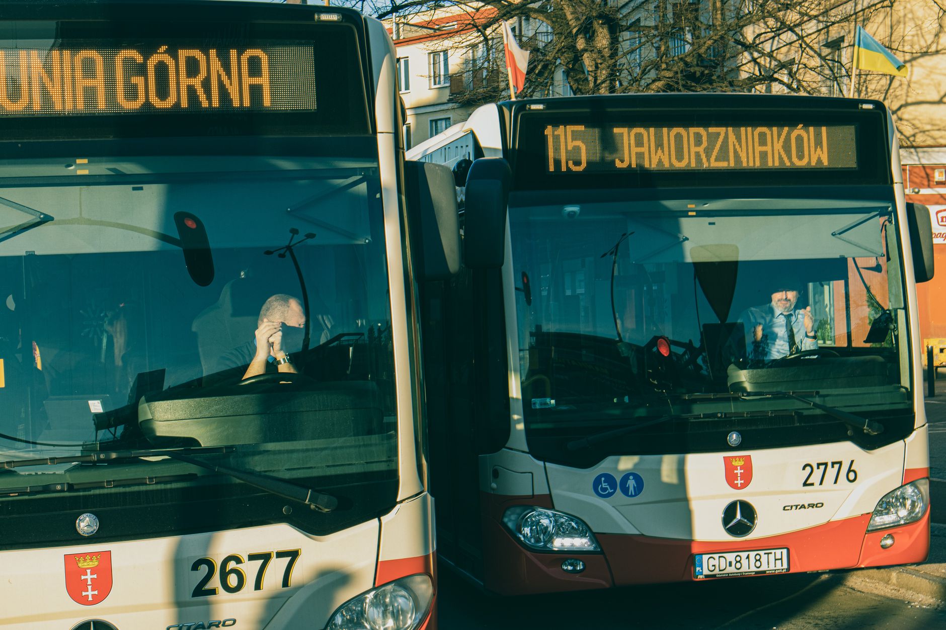 Two public buses at a station in Gdańsk, offering a glimpse of local transportation. — Trójmiasto