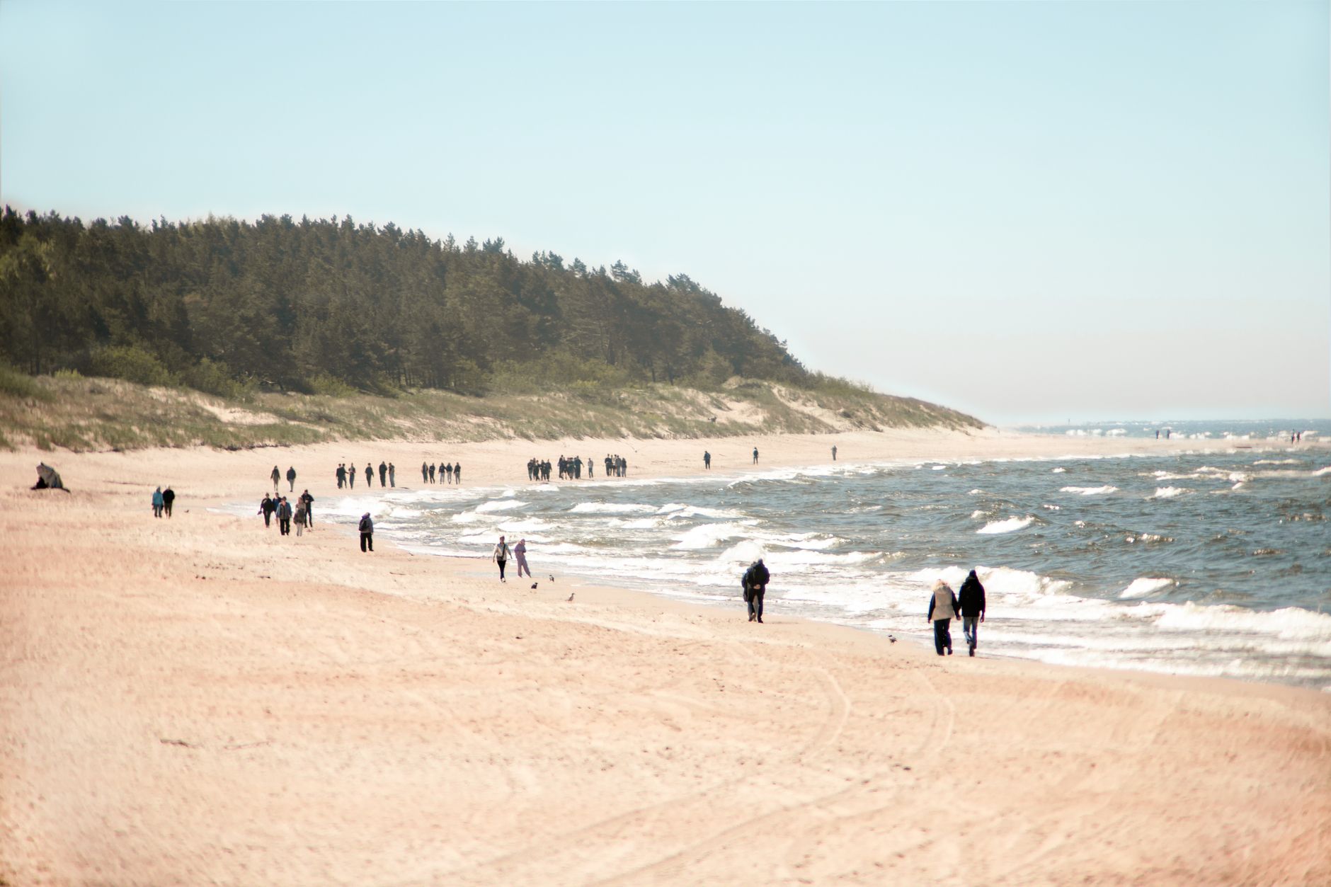 People walking along the serene Palanga Beach in Lithuania with gentle waves and a forest backdrop. — Trójmiasto