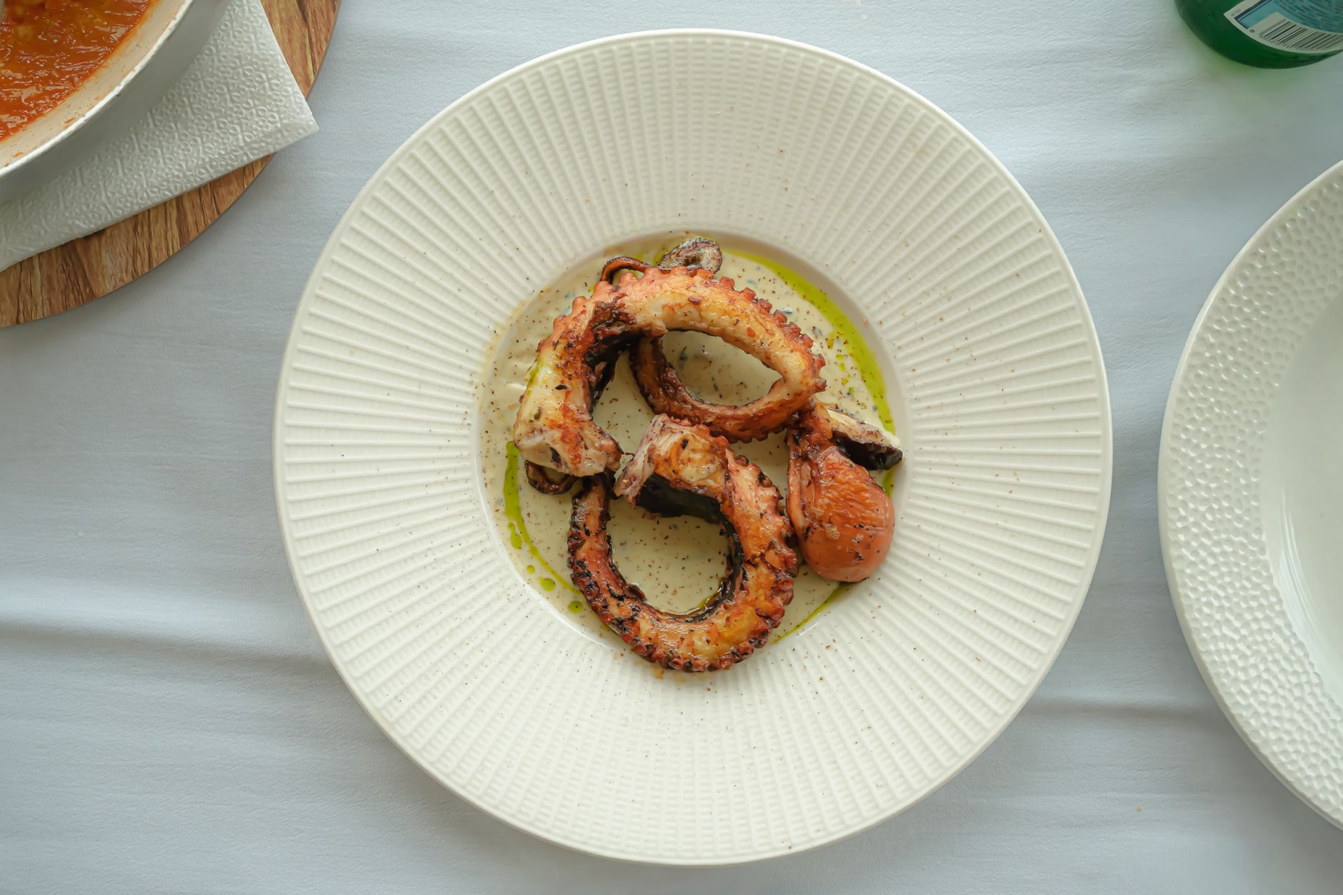 Delicious grilled octopus served elegantly on a textured white plate. — Trójmiasto