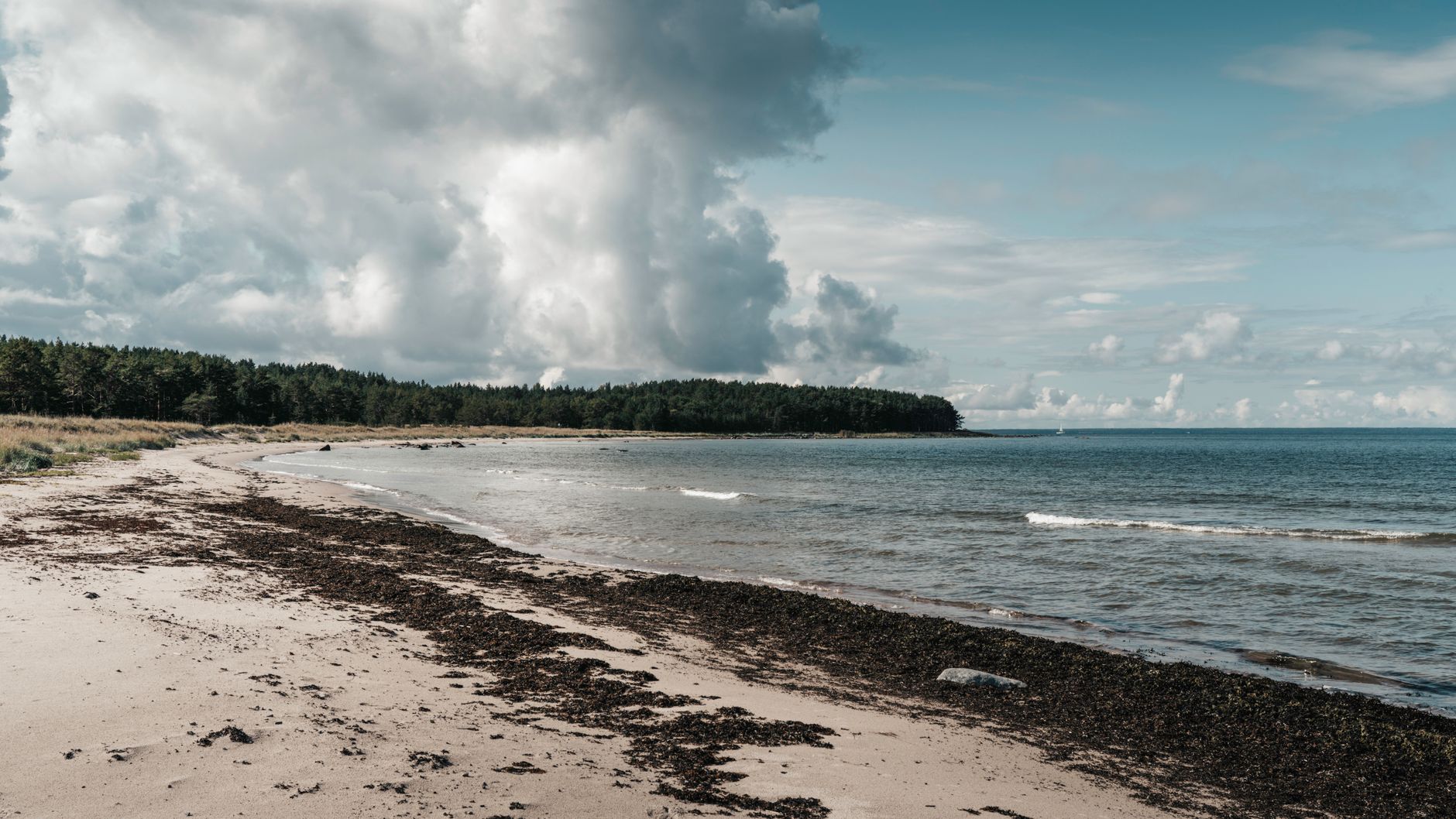 A tranquil untouched beach on Aegna Island, Estonia, along the Baltic Sea coastline. — Trójmiasto