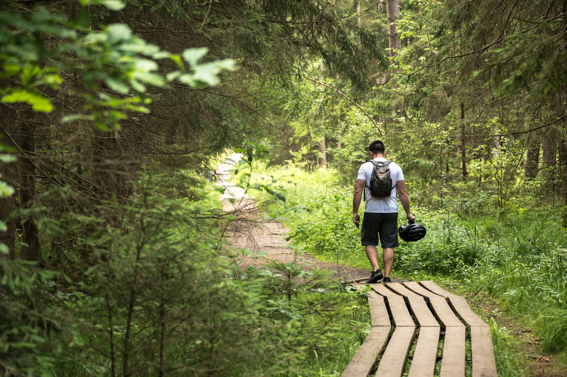 Man with backpack walks along wooden path surrounded by lush green forest. — Trójmiasto