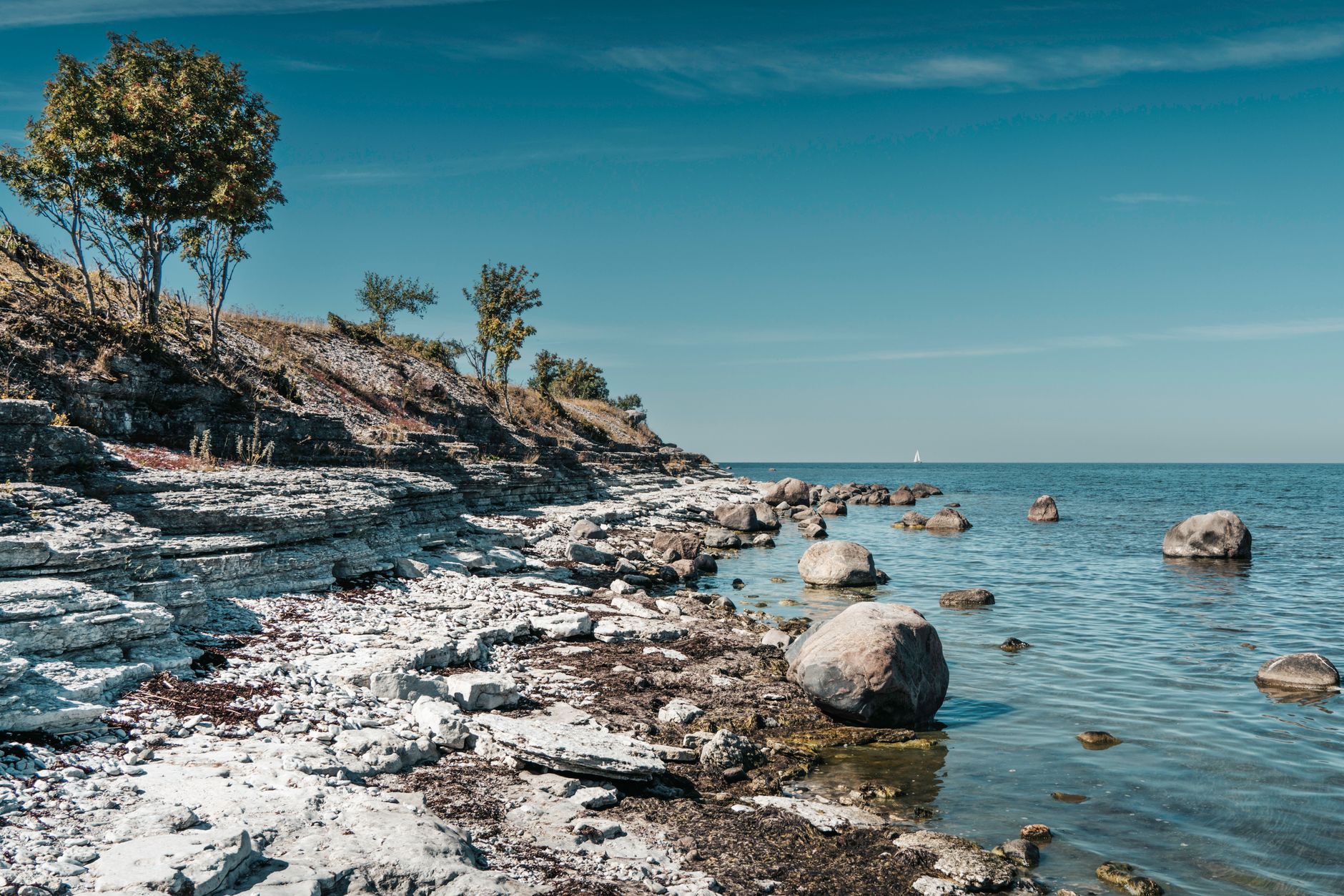 Beautiful rocky coastline under a clear blue sky, perfect for nature and travel imagery. — Trójmiasto