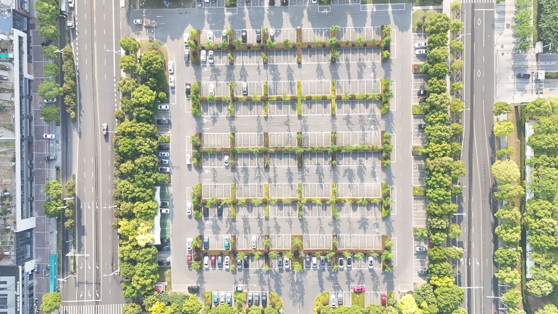 Aerial view showcasing an organized city parking lot lined with trees and parked cars. — Trójmiasto
