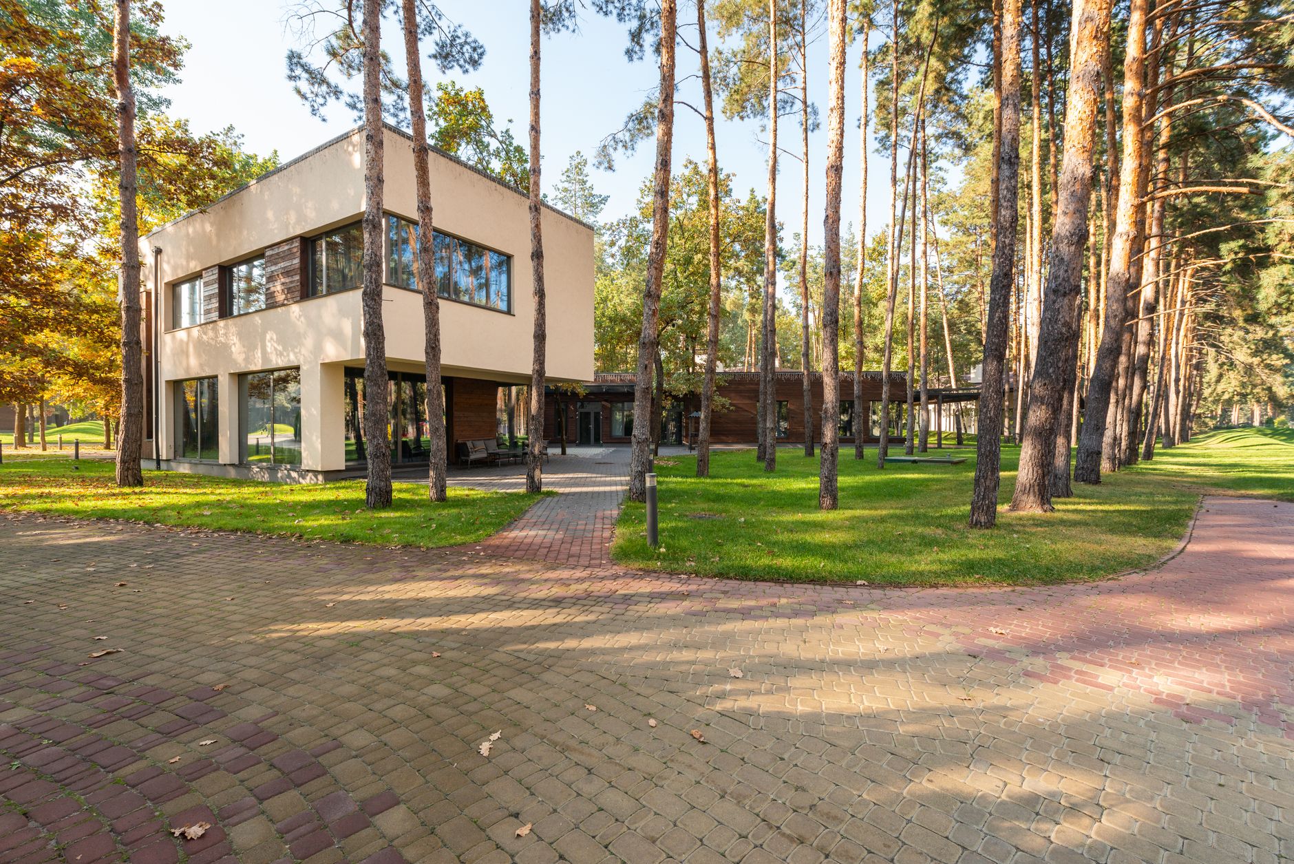 Contemporary house surrounded by tall trees in a forest setting. — Trójmiasto