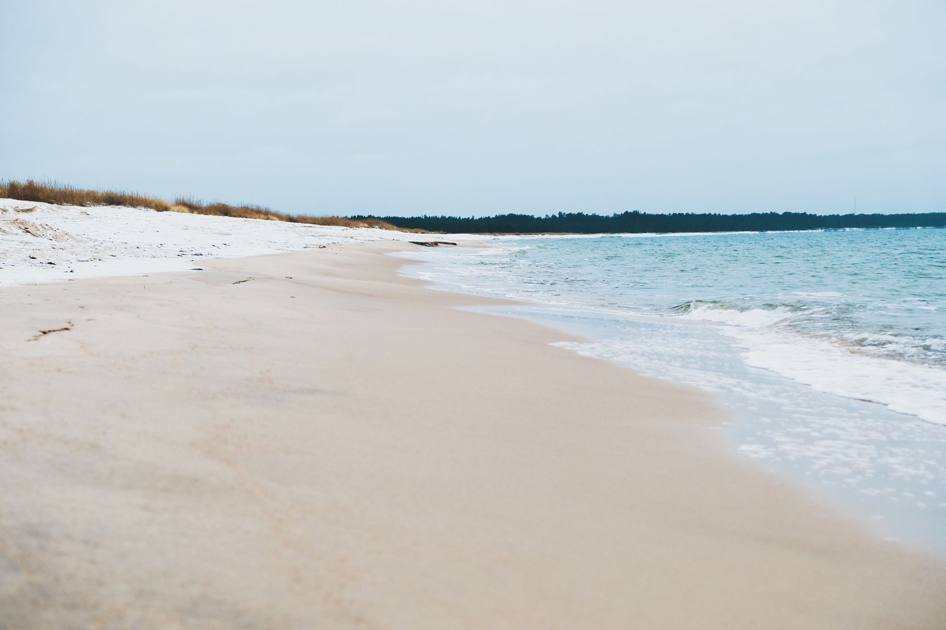 A serene winter beach in Estonia with soft sand and gentle waves. — Trójmiasto